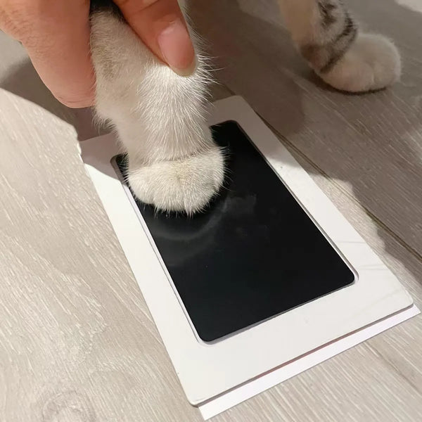 Kit de Recuerdos para Manos y Patas