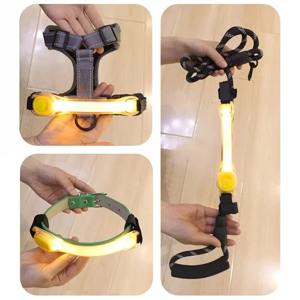 Night-running-pet-dog-safety-harness-collar-for-preventing-loss-Multi-color-pendant-Waterproof-outdoor-warning.jpg