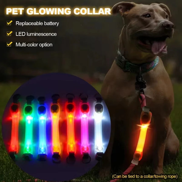 Arnés de Seguridad Luminoso para Perros