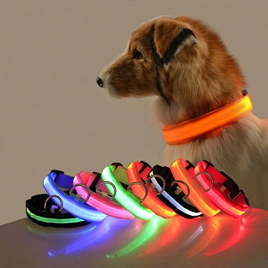 Correa Luminosa para Perros