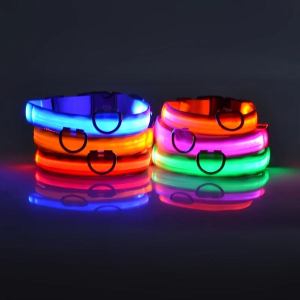 Nylon-LED-Night-Safety-Flashing-Glow-In-The-Dark-Dog-Leash-Dogs-Luminous-Fluorescent-Pet-Dog.jpg