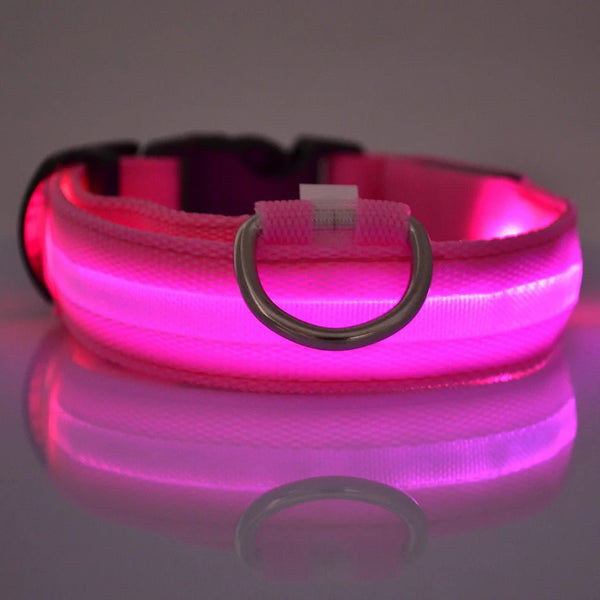 Nylon-LED-Night-Safety-Flashing-Glow-In-The-Dark-Dog-Leash-Dogs-Luminous-Fluorescent-Pet-Dog.jpg